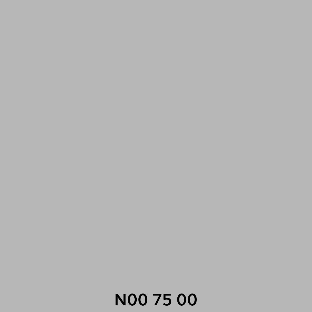2,5L STO Color Jumbosil, Farbton N007500